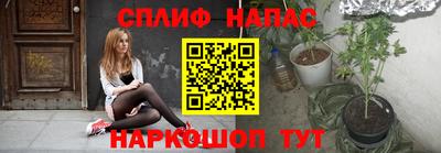 apvp Новозыбков